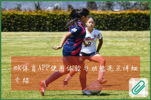 mk体育APP使用体验与功能亮点详细介绍