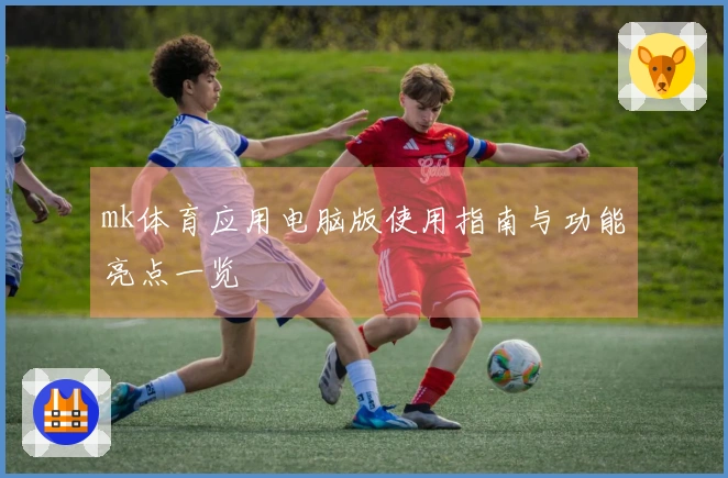 mk体育应用电脑版使用指南与功能亮点一览