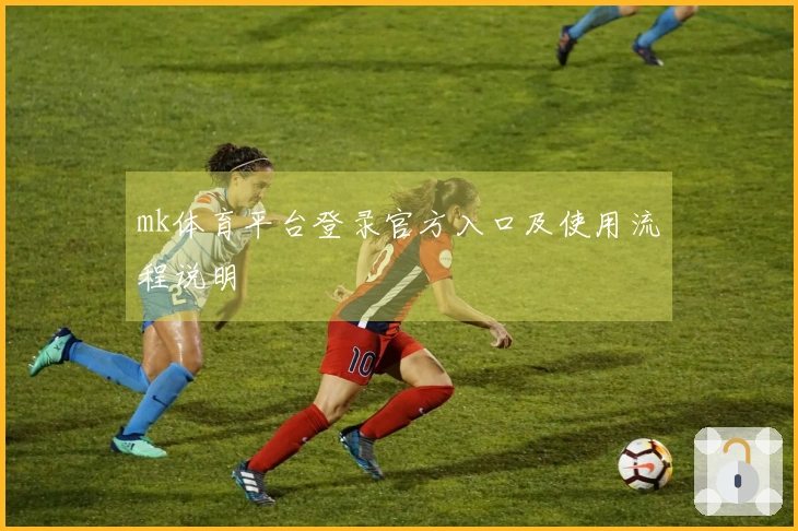 mk体育平台登录官方入口及使用流程说明