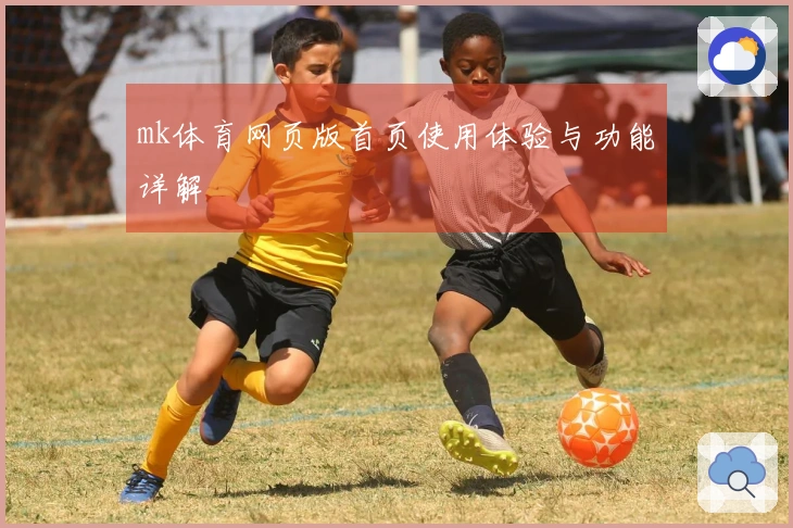 mk体育网页版首页使用体验与功能详解