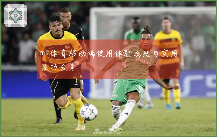 mk体育移动端使用体验总结与实用技巧分享