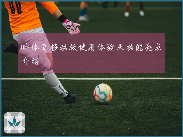 mk体育移动版使用体验及功能亮点介绍