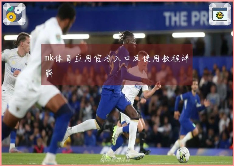 mk体育应用官方入口及使用教程详解